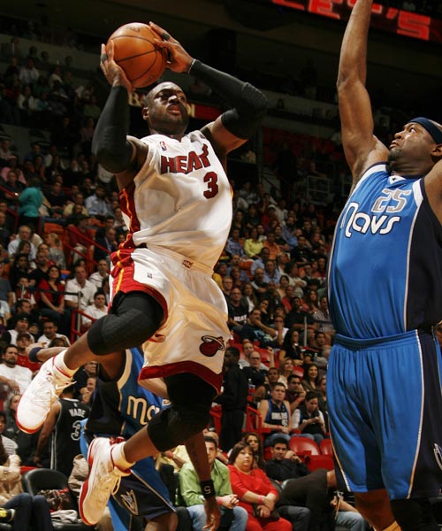 会动作不仅 会动作不仅